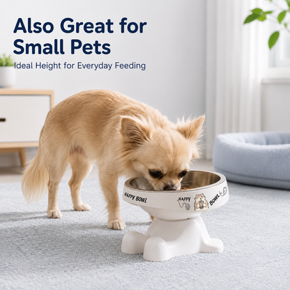 PawLift Elevated Pet Bowl