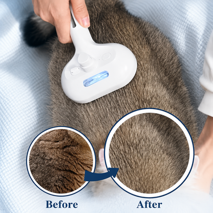 PawMist 3-in-1 Steam Brush