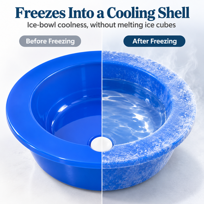 CoolHaven Pet Water Bowl
