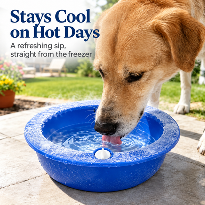 CoolHaven Pet Water Bowl