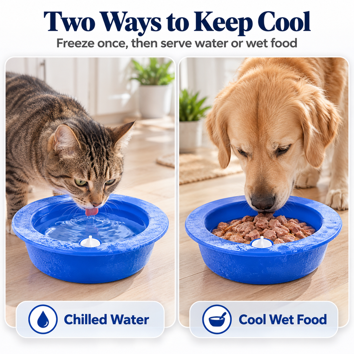 CoolHaven Pet Water Bowl