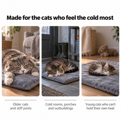 EmberNest Heated Cat Pad – Adjustable Warmth