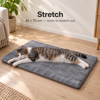 EmberNest Heated Cat Pad – Adjustable Warmth