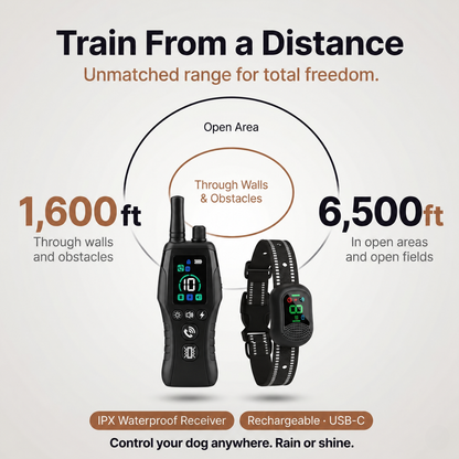 PawGuard Dog Training Collar with Remote