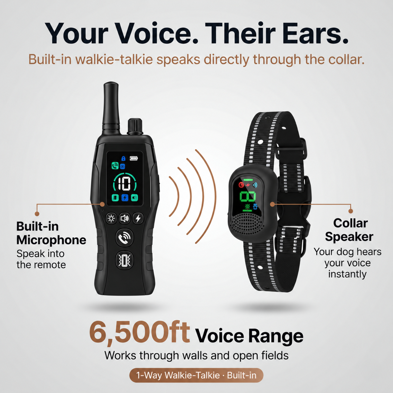 PawGuard Dog Training Collar with Remote