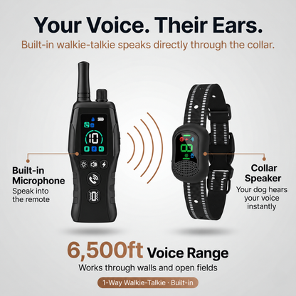 PawGuard Dog Training Collar with Remote