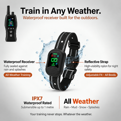 PawGuard Dog Training Collar with Remote