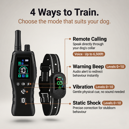 PawGuard Dog Training Collar with Remote