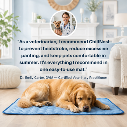 ChillNest Cooling Mat for Pets