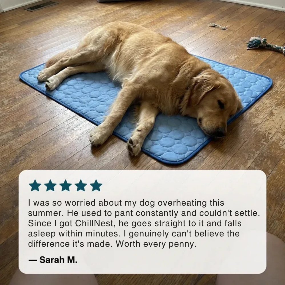 ChillNest Cooling Mat for Pets
