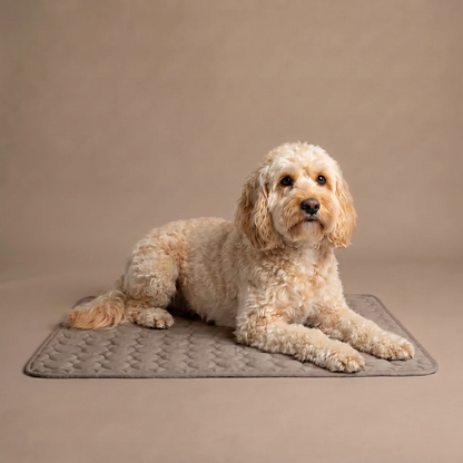ChillNest Cooling Mat for Pets