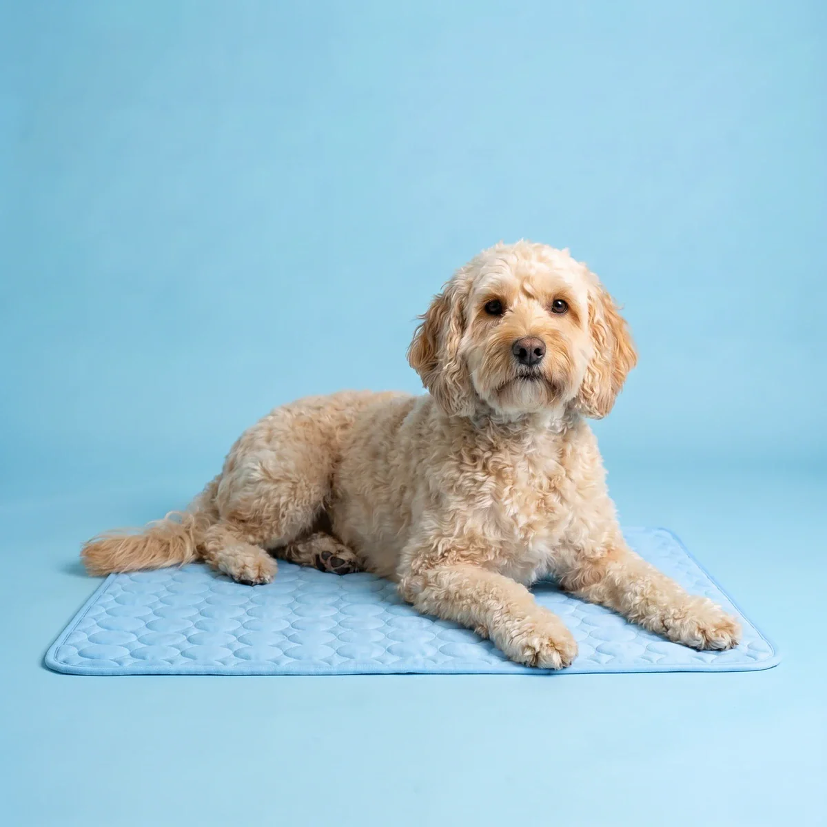ChillNest Cooling Mat for Pets