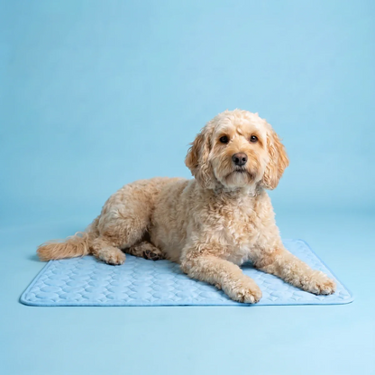 ChillNest Cooling Mat for Pets